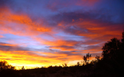 Sunrise in Joshua Tree Park by Jessie Eastland (Source: Wikimedia Commons)